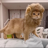 Humorous Lion Mane Headgear for Cats