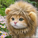 Humorous Lion Mane Headgear for Cats