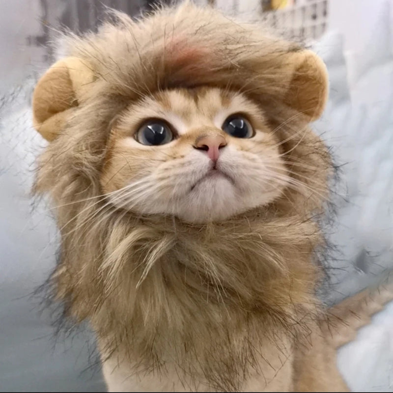 Humorous Lion Mane Headgear for Cats