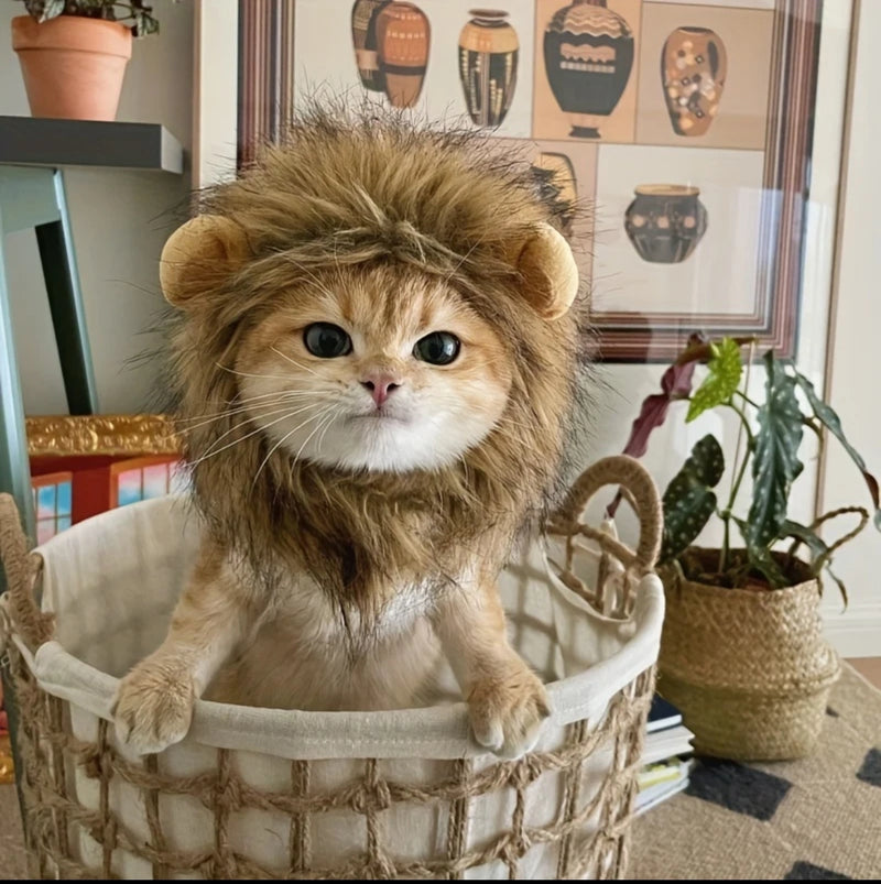 Humorous Lion Mane Headgear for Cats