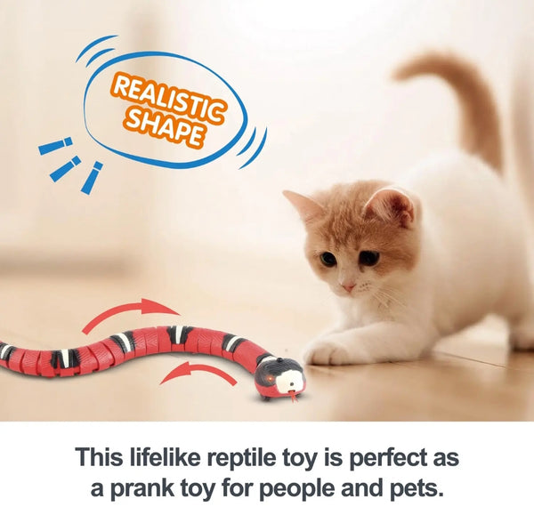 Eletronic Snake Cat Teaser Indoor Play Kitten Toy USB Rechargeable for Cats Kitten