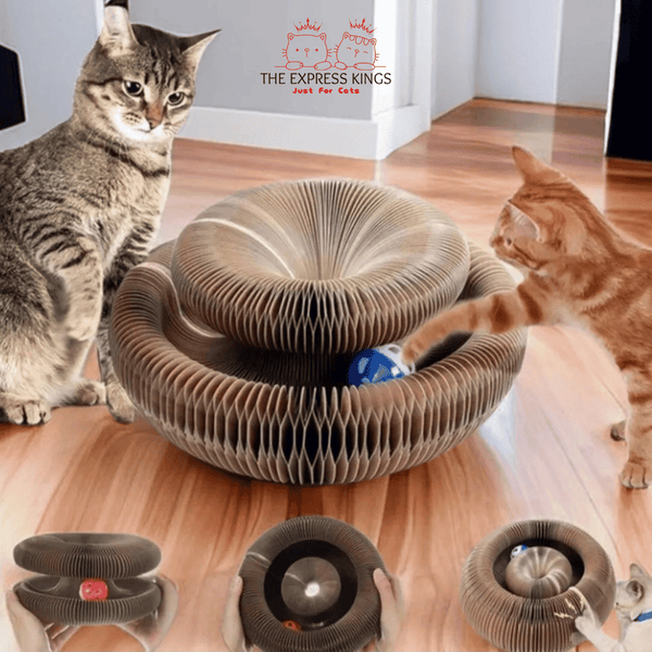 Interactive Foldable Cat Toy with Rolling Balls – Ultimate Entertainment for Cats