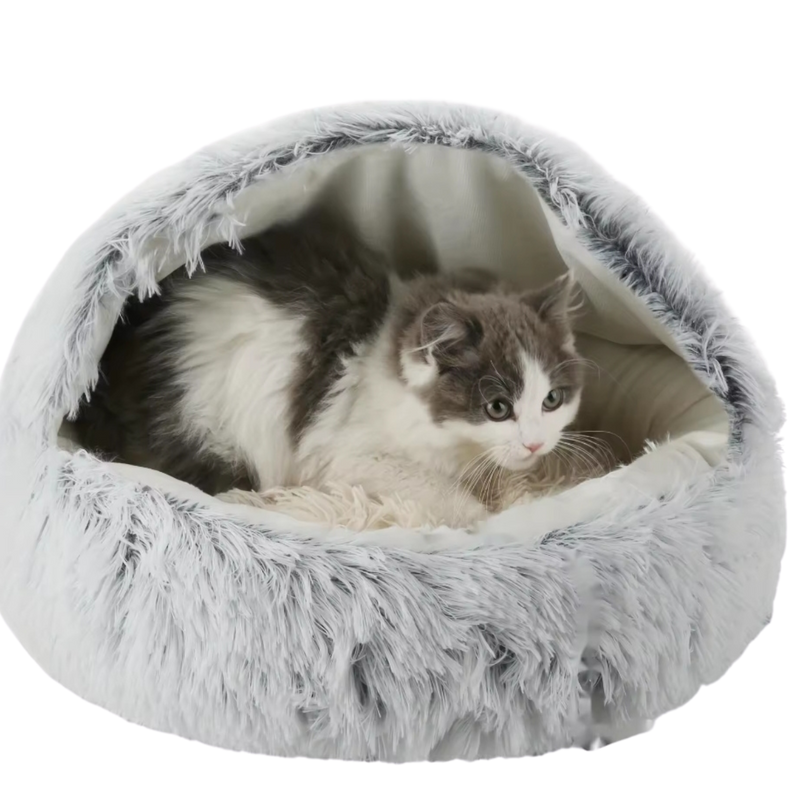 The Express Kings Cozy Cat Bed